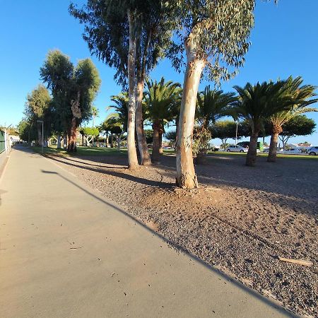 Pool & Wifi Free Shared Flat Private Room By Ocean Park Maspalomas  Bagian luar foto